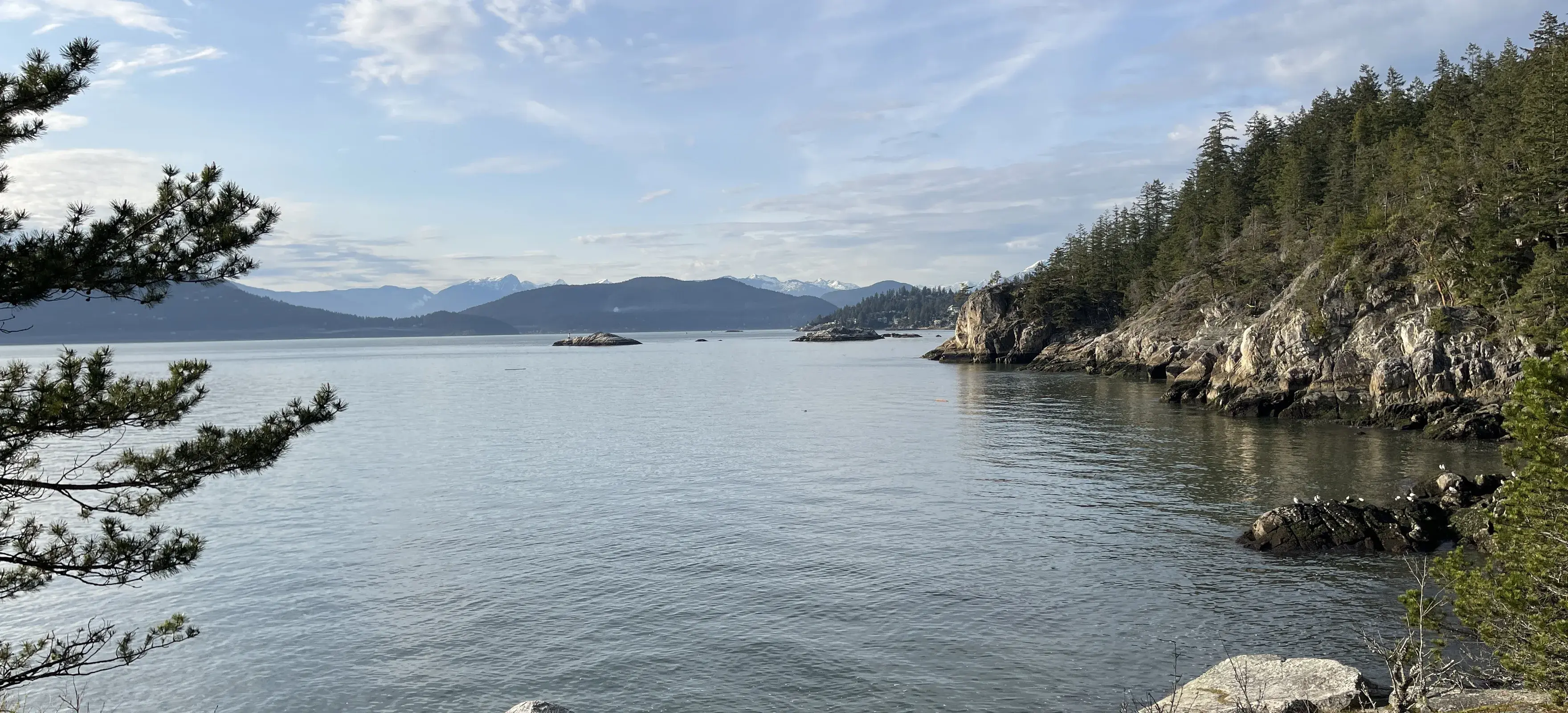 Shore Pine Point