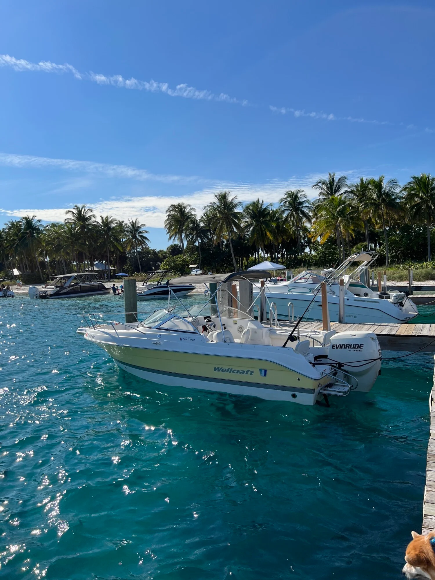 West Palm Beach Private Boat Tours
