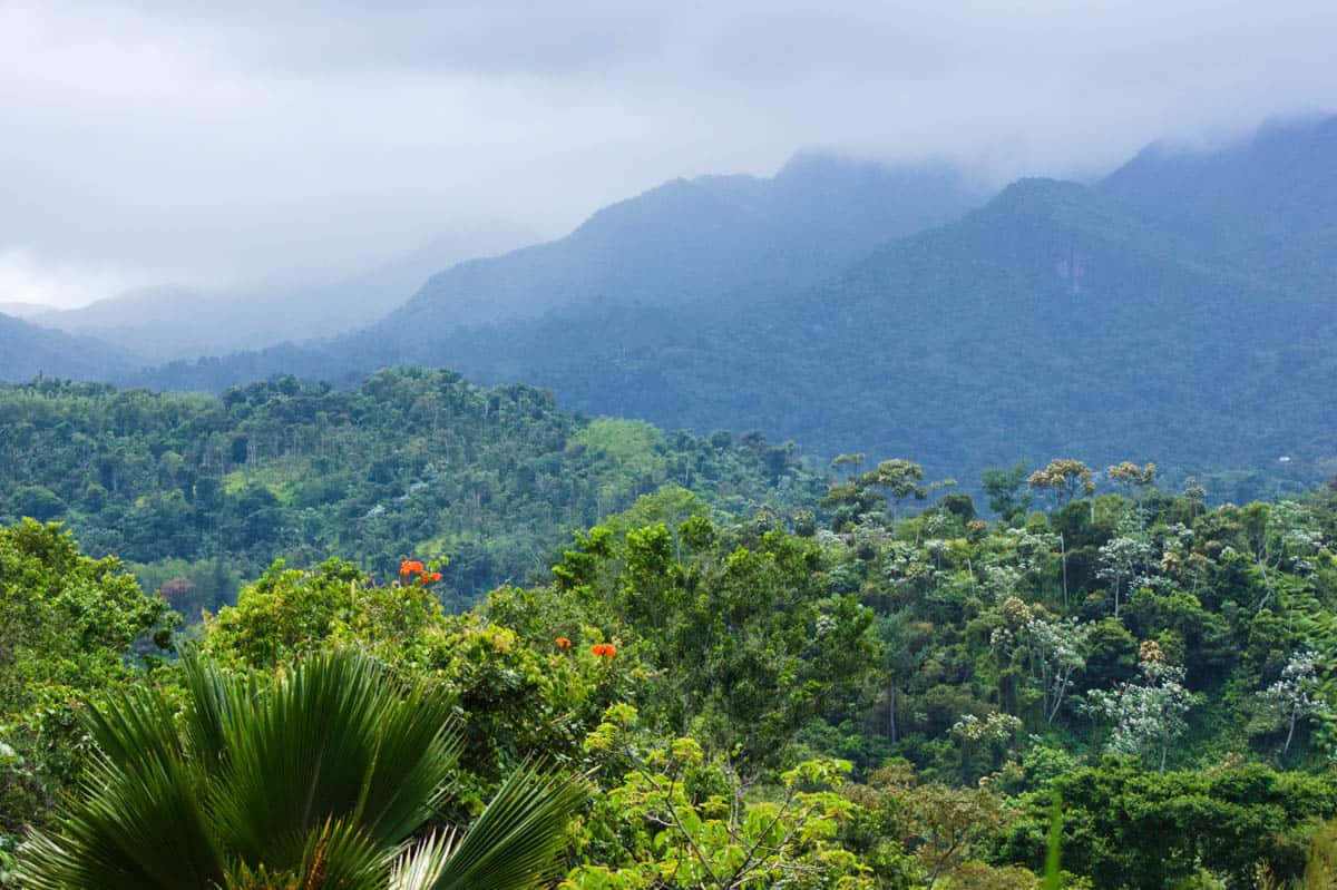 El Yunque Foothills
