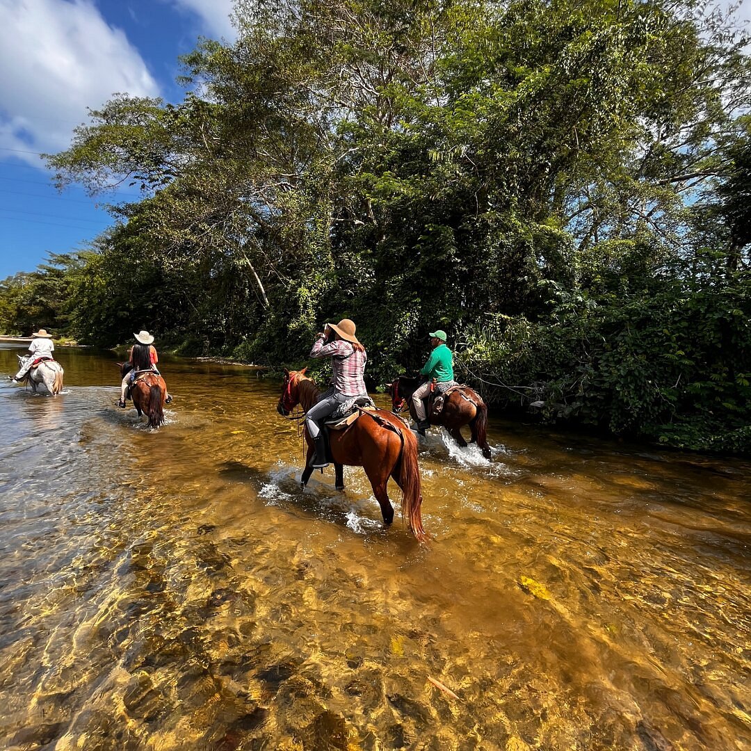 Mameyes River Crossing