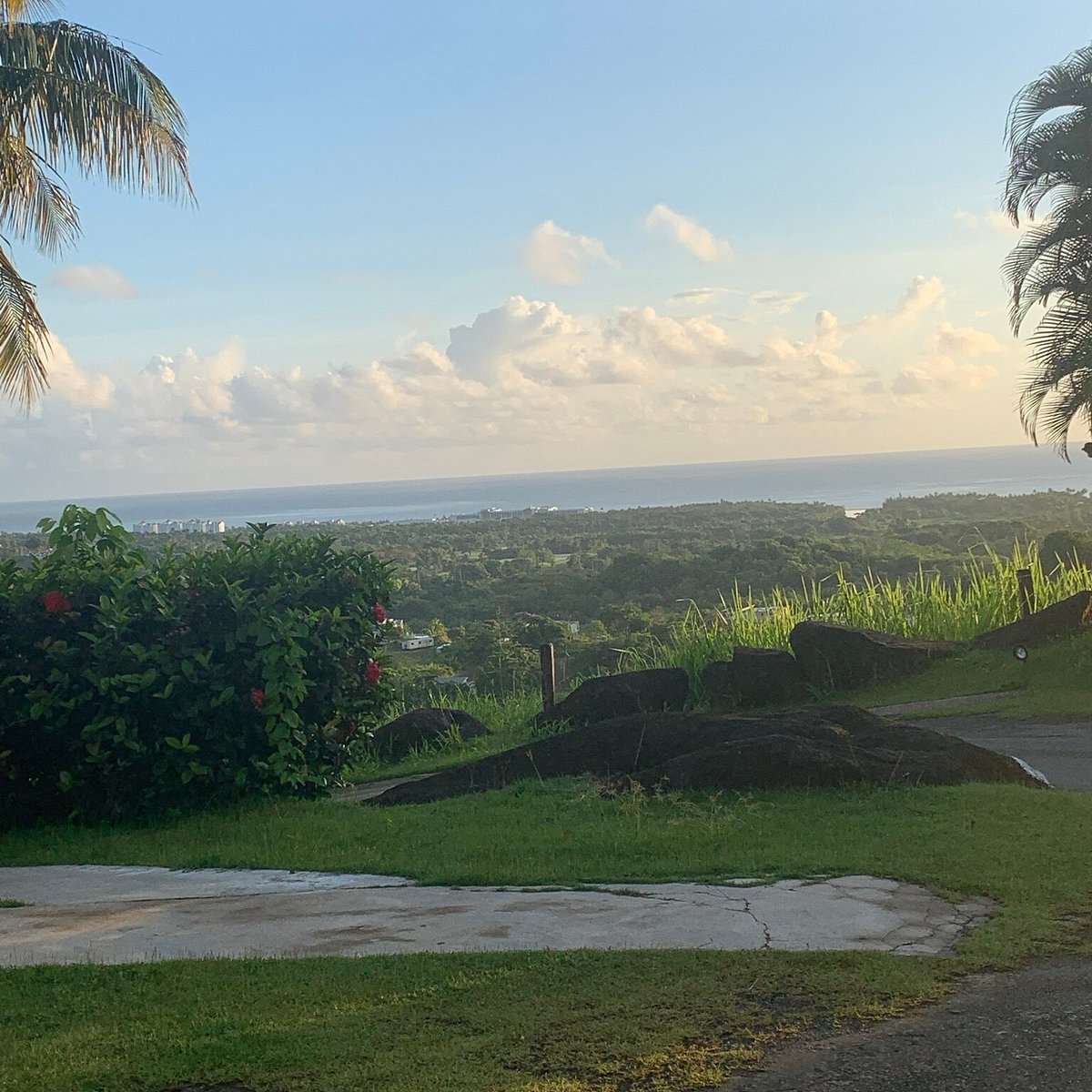 El Yunque Foothills Lookout