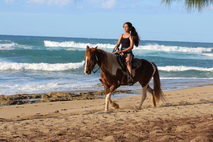 Horseback Riding on the Beach San Juan Puerto Rico