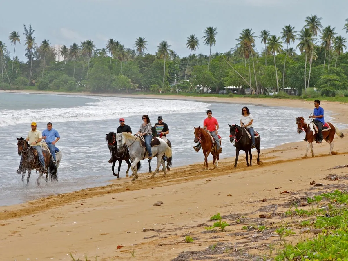 Coastal Dune Corridor