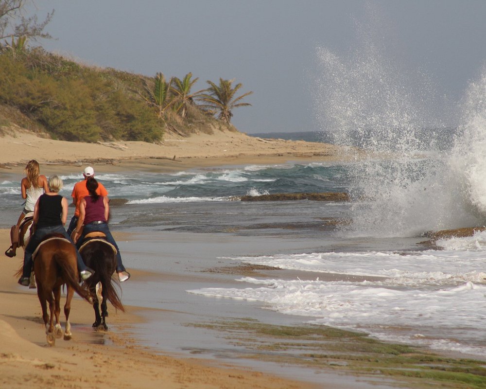 Atlantic Shoreline Path