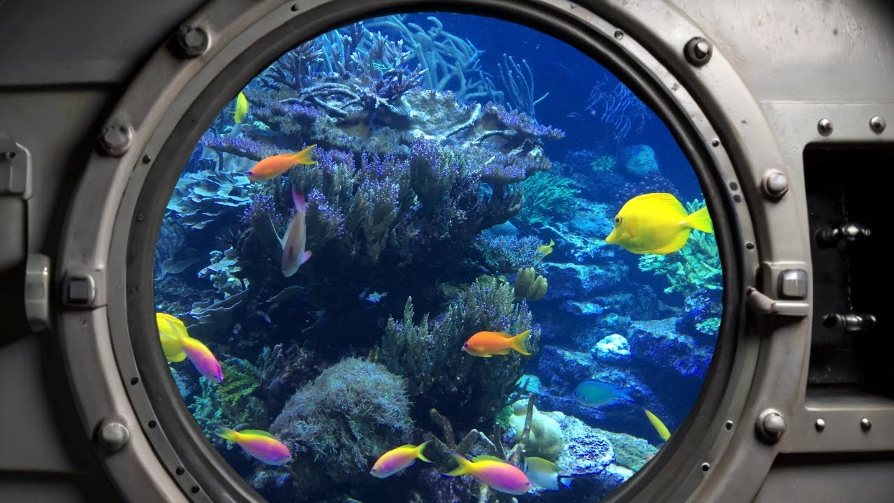 Submarine Tour Oahu