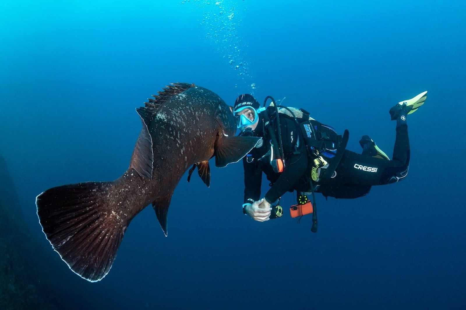 Illes Medes Marine Reserve
