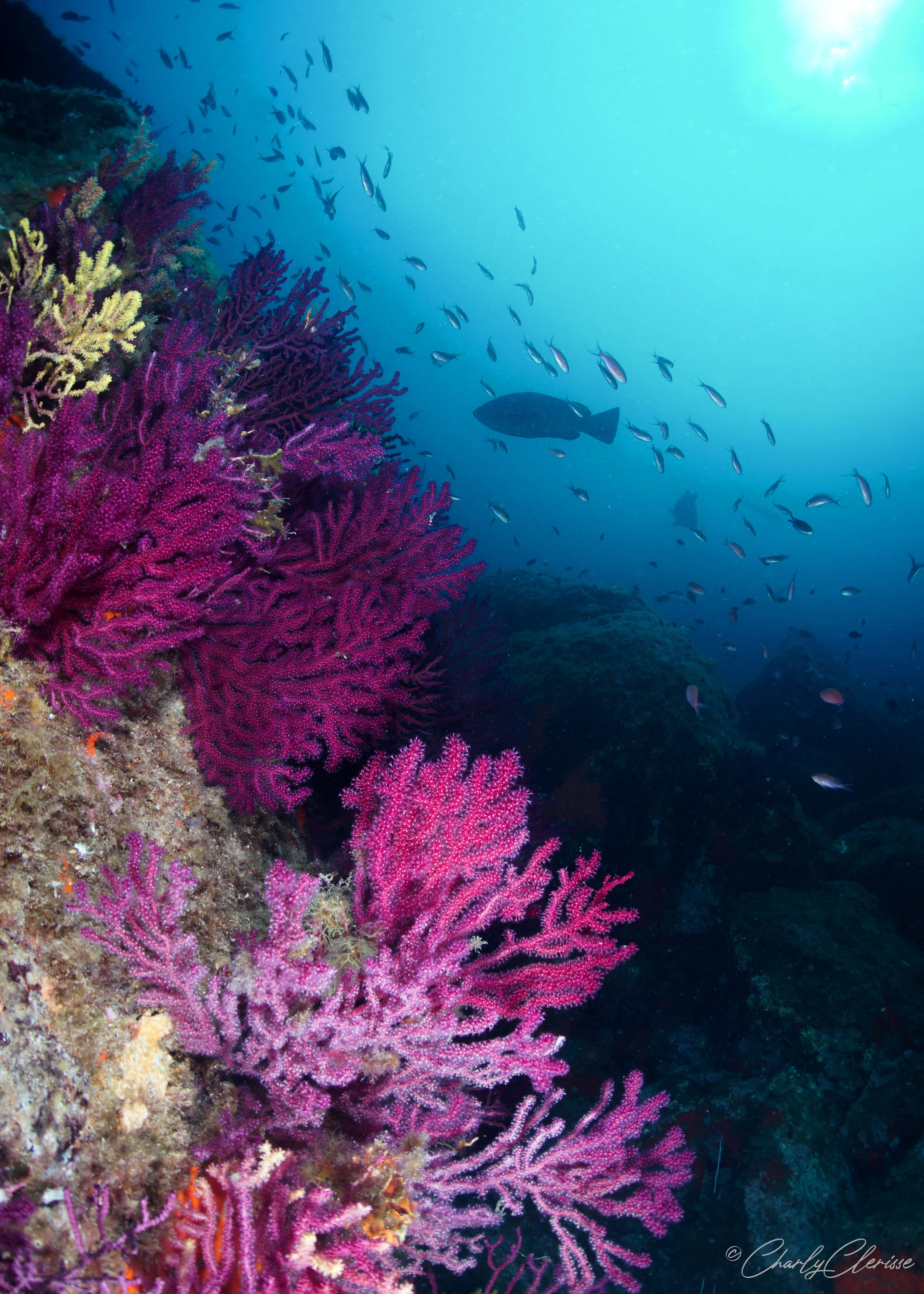 Cap de Creus underwater caves