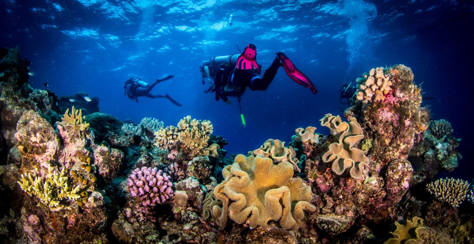 Scuba Diving Costa Brava From Barcelona
