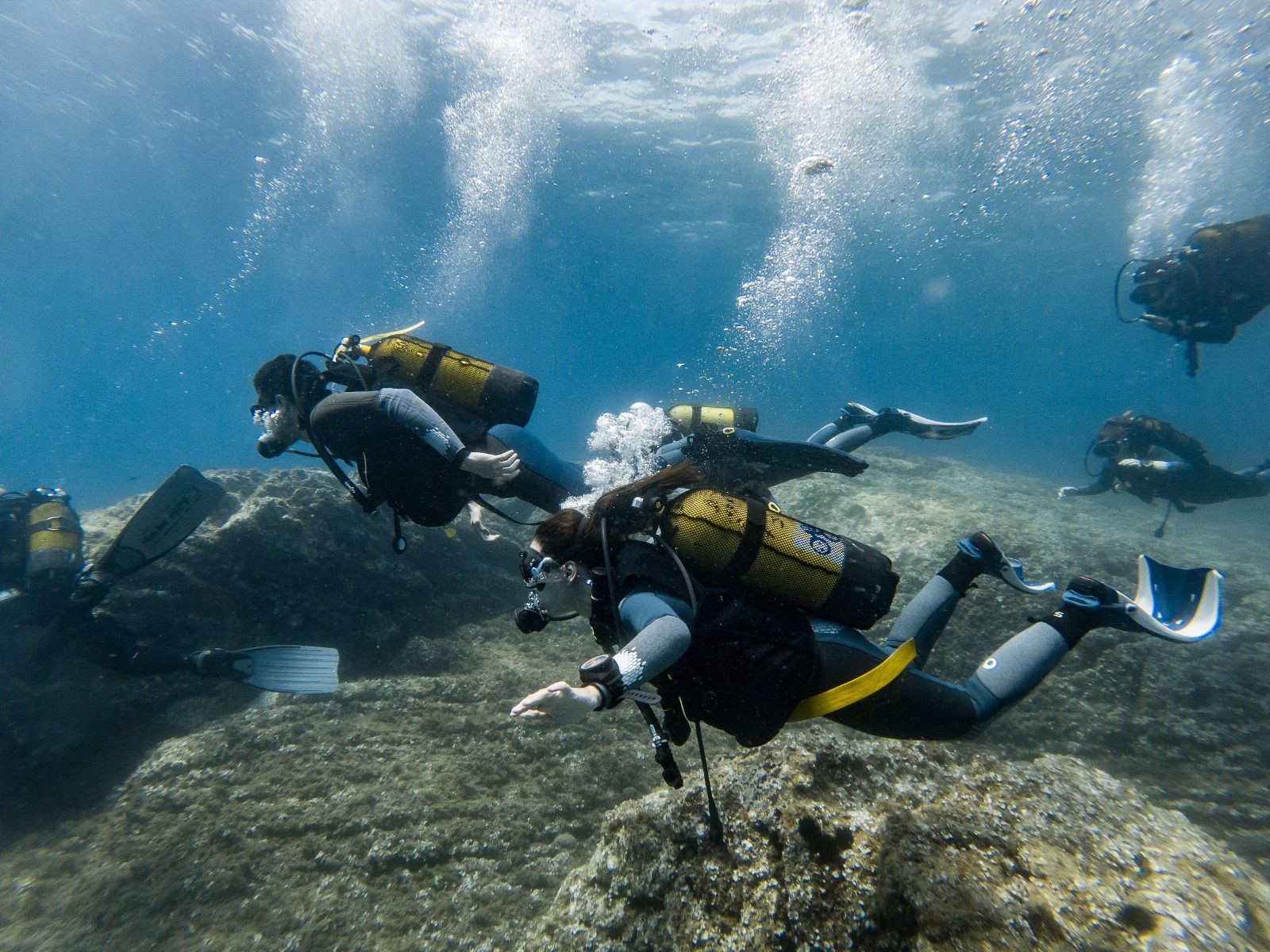Medusa Dive Office