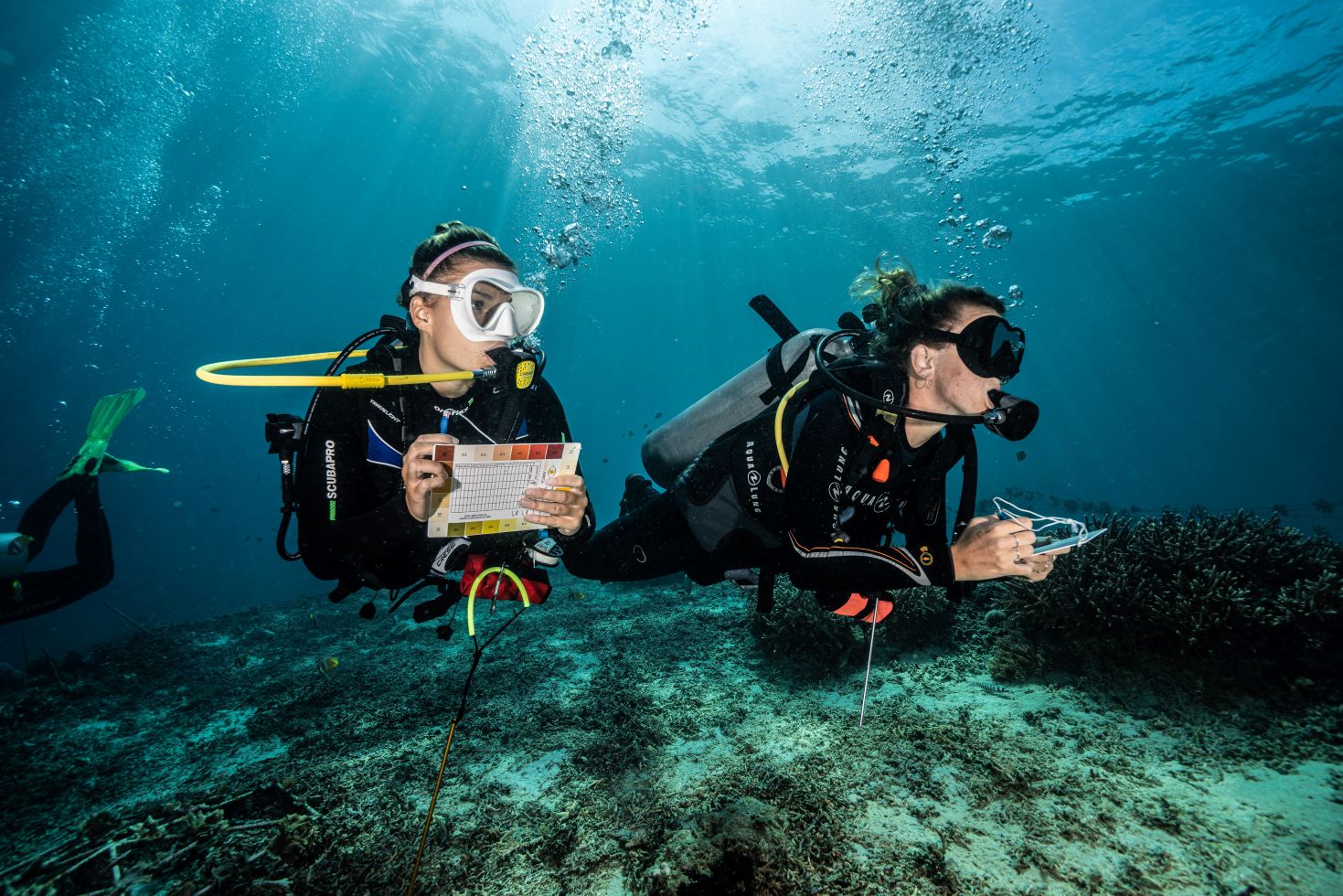 Scuba Diving Certification Barcelona