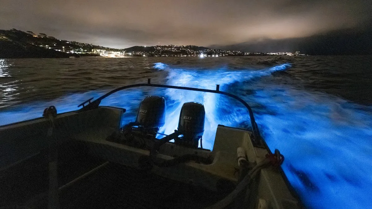 Aft Deck