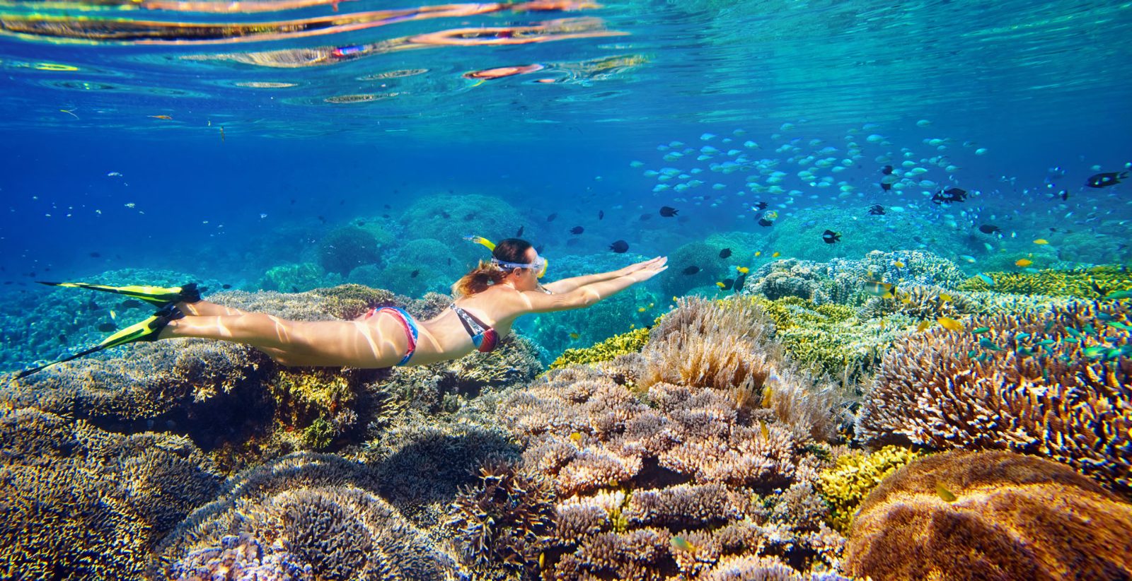 Cairns Day Tours Great Barrier Reef
