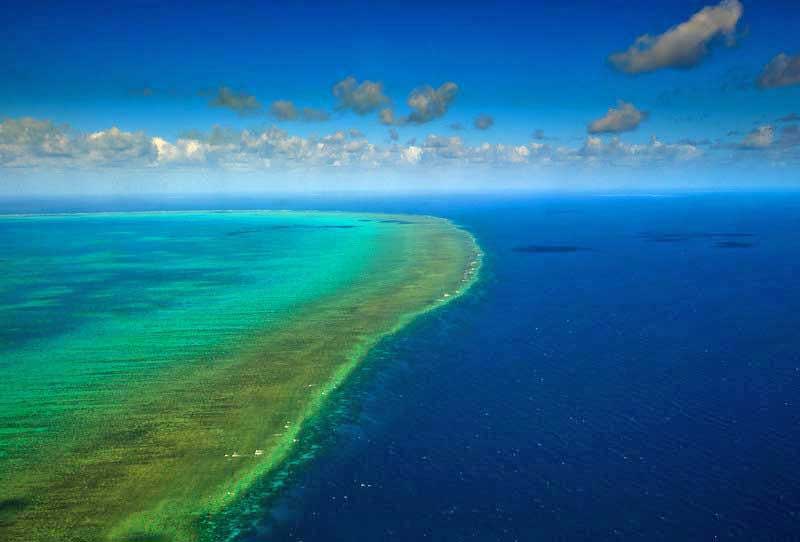 Arlington Reef