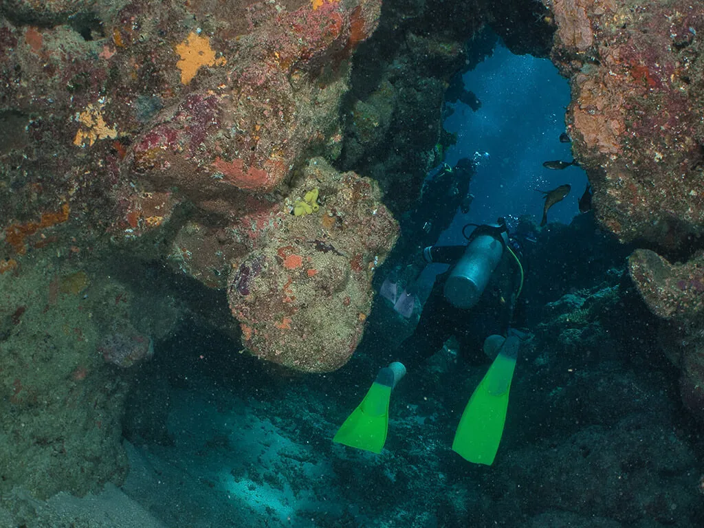 Flynn Reef Swim-throughs