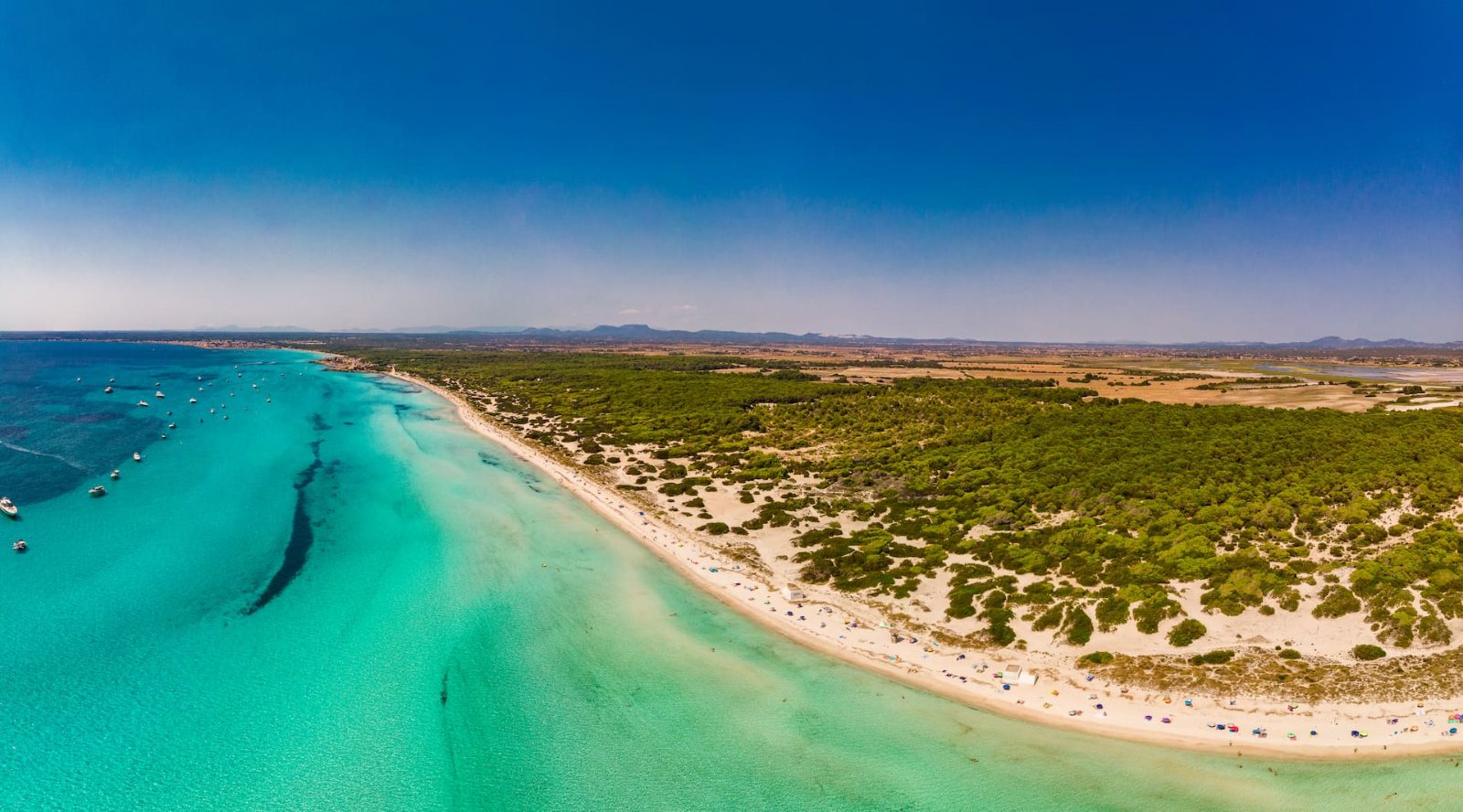 Playa Grande Shoreline