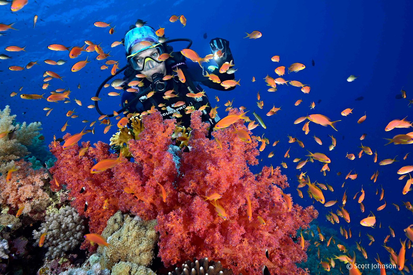 Sharm El Sheikh Diving Trip