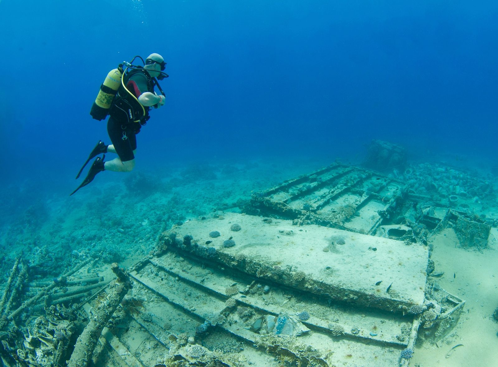 Yolanda Wreck