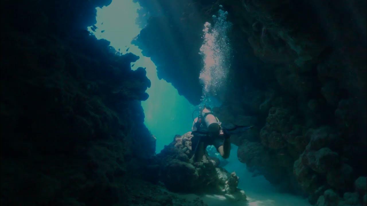 Jackfish Alley