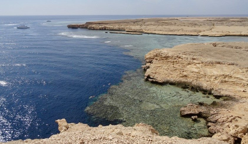 Shark Observatory Cliff