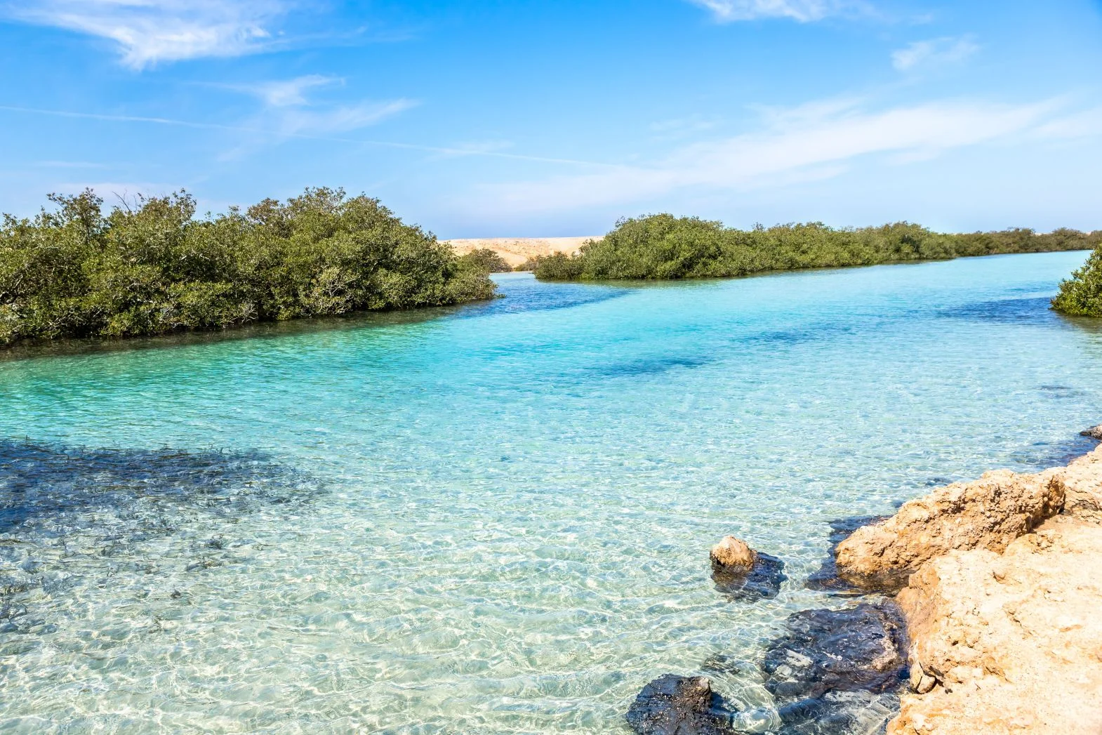 Ras Mohammed Mangroves