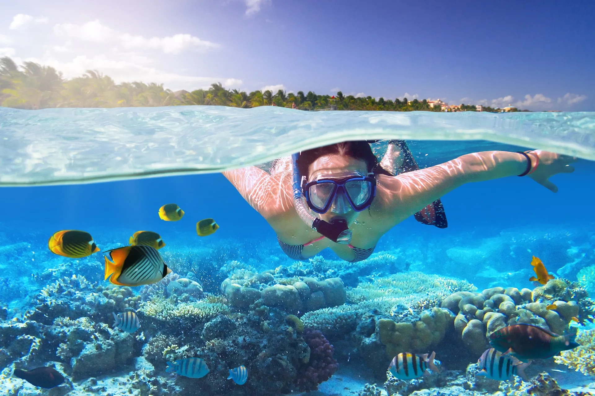 Ambergris Caye Reef