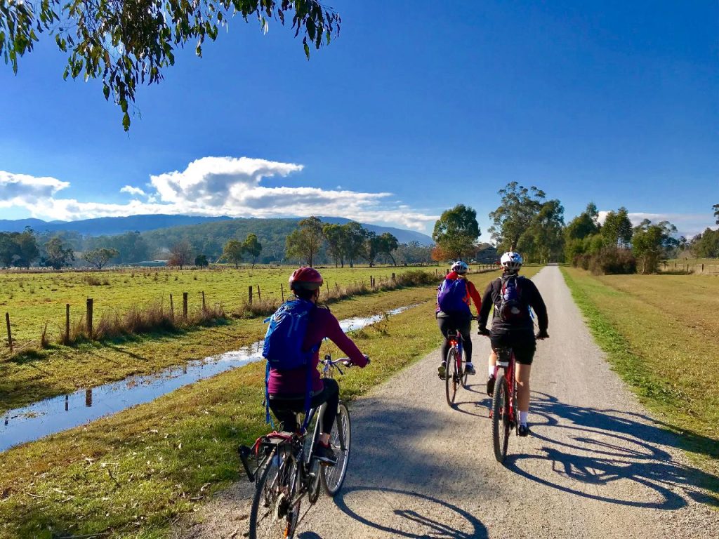 Yarra Valley Vineyard Edge