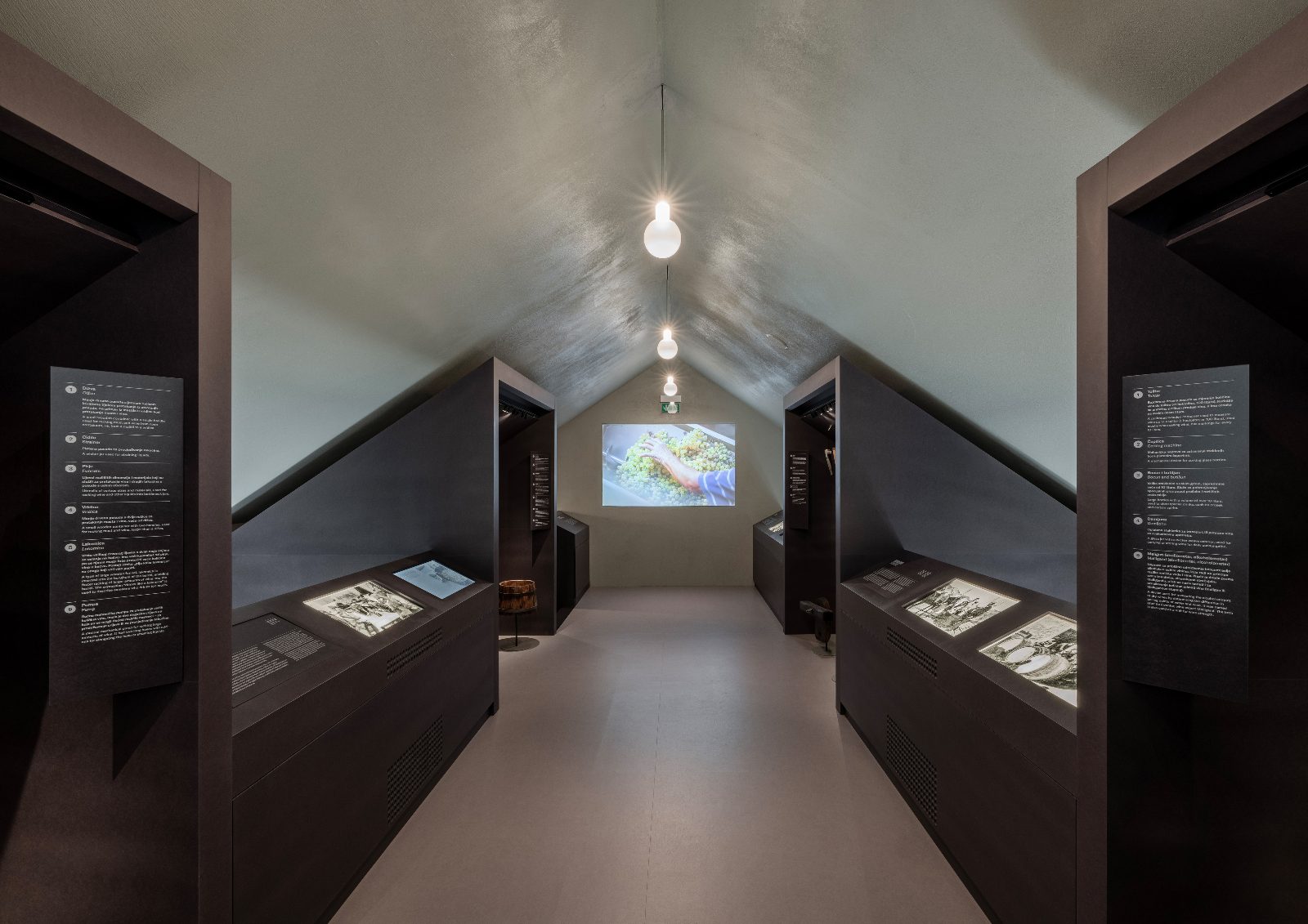Viticulture Exhibit