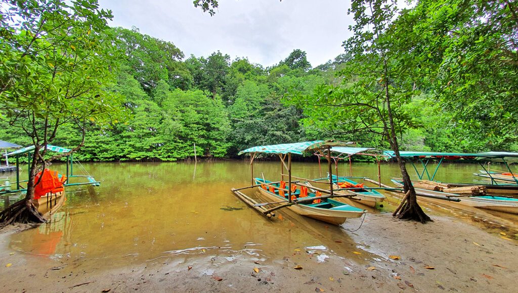 Sabang Mangrove Forest