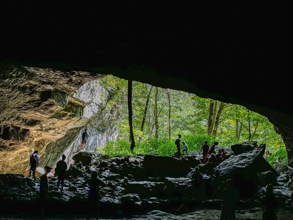 Monkey Trail