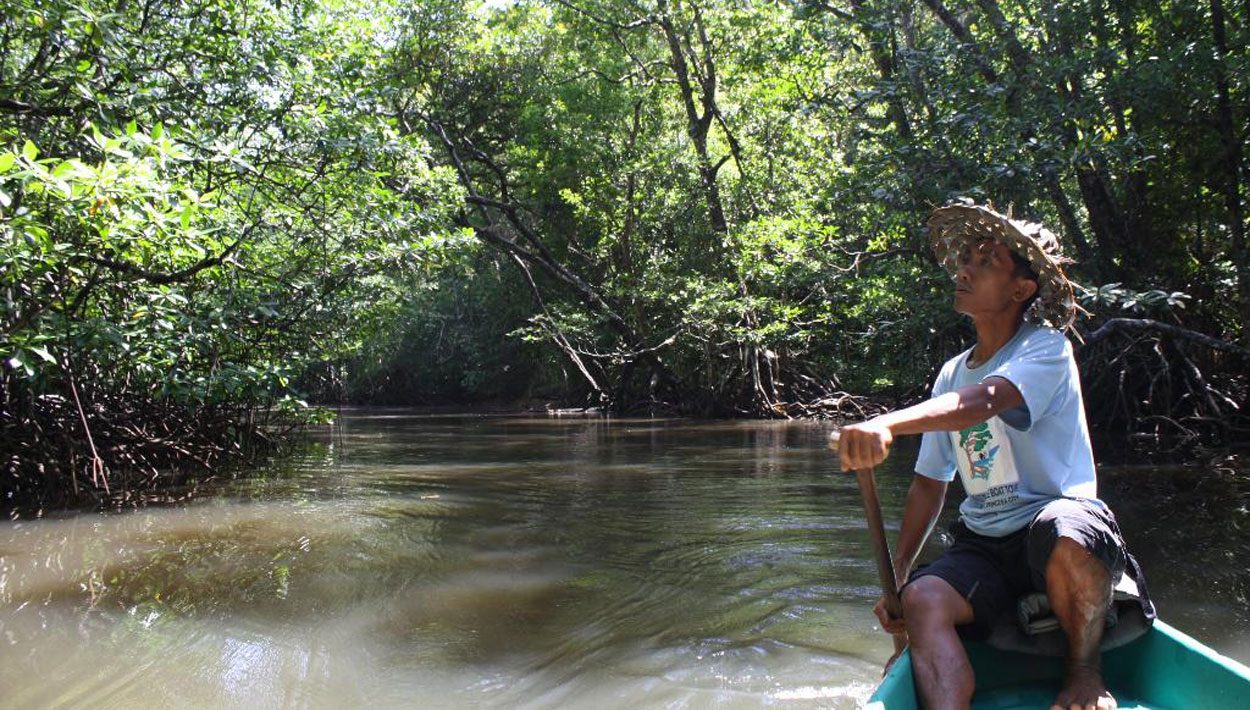 Sabang Mangrove Forest