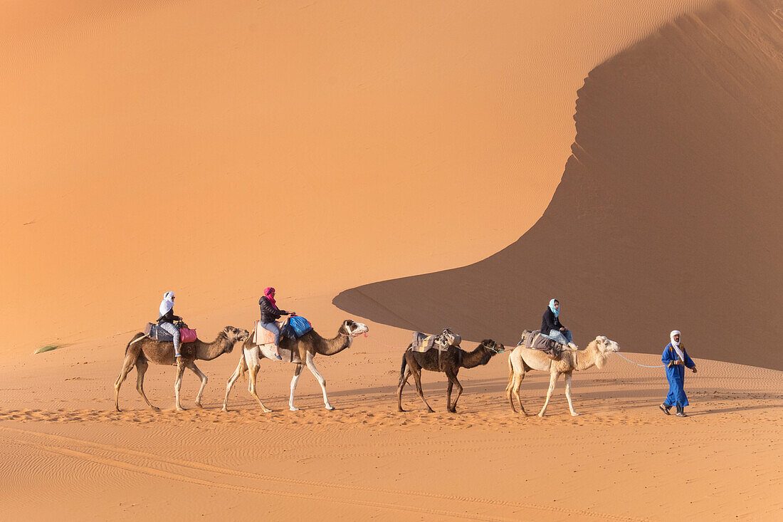Camel Safari Oman