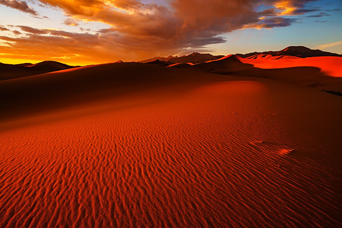 Red Sand Dunes