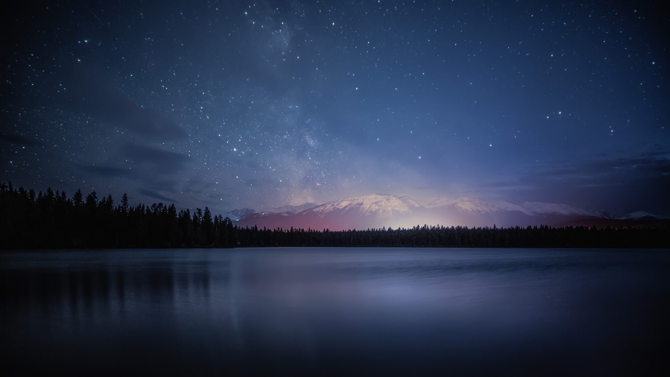 Northern Lights over forest