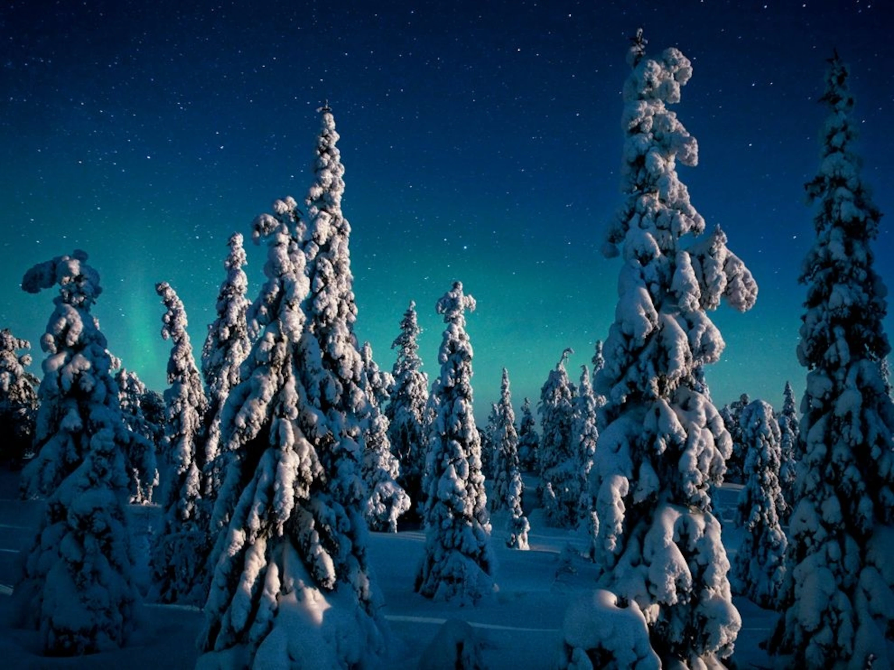 Oulanka National Park