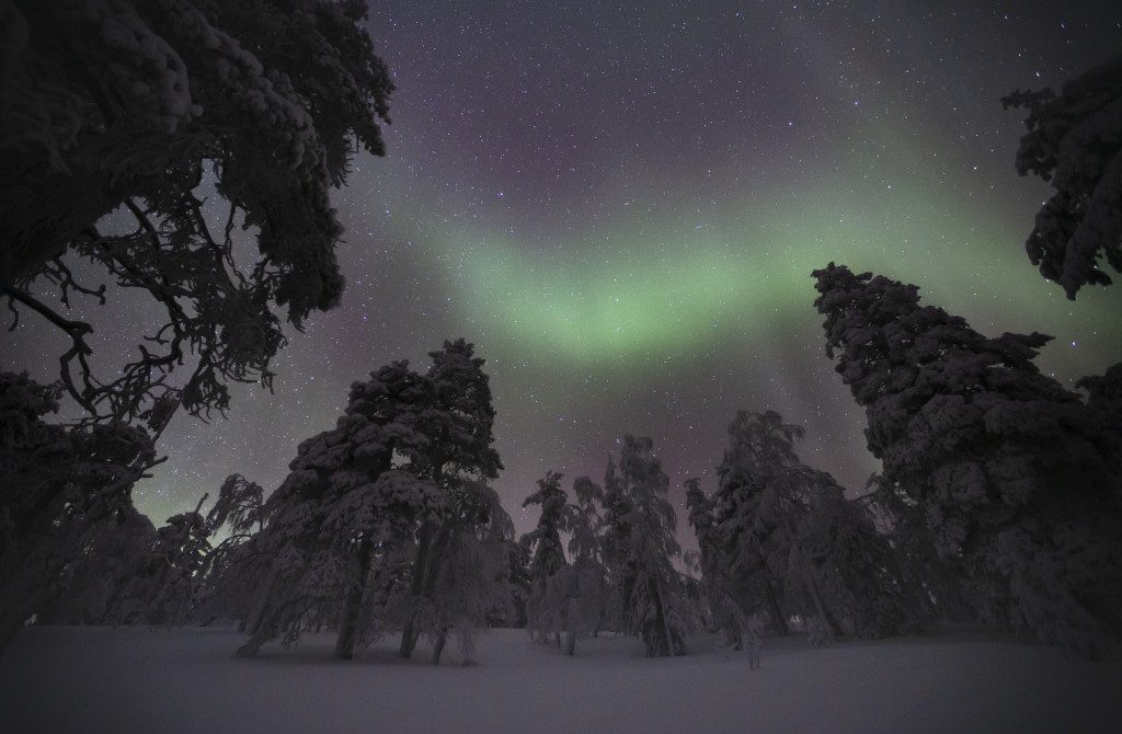 Pyhä-Luosto National Park