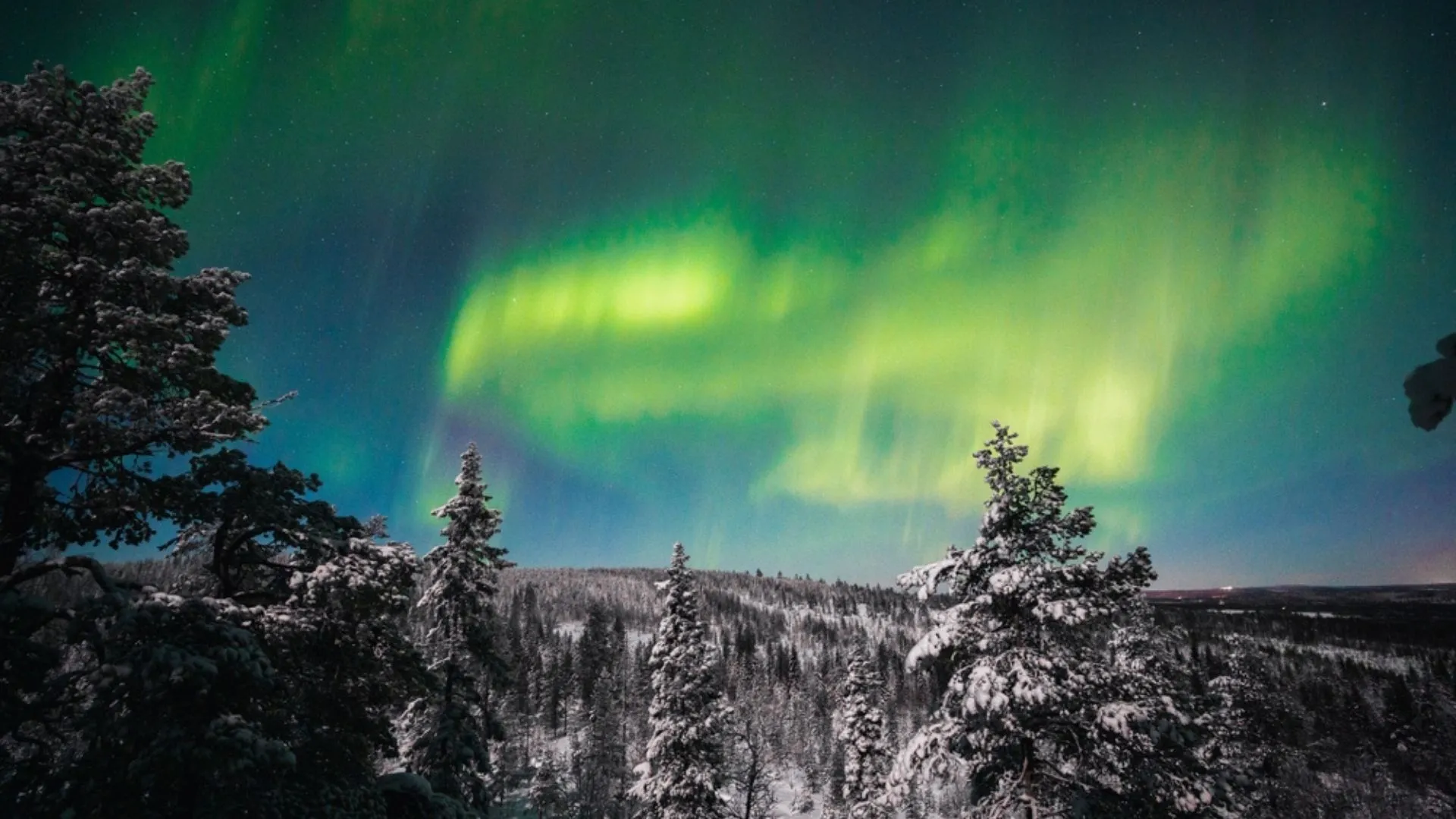 Arctic Circle Wilderness Plains