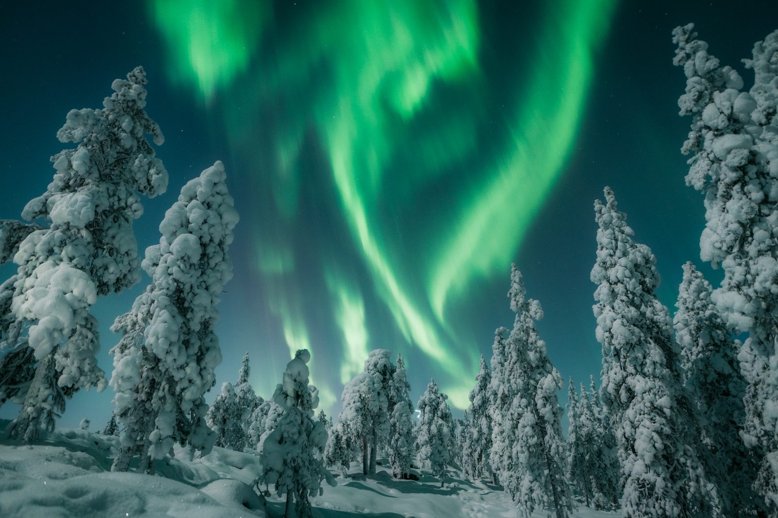 Auroral Oval Over Lapland