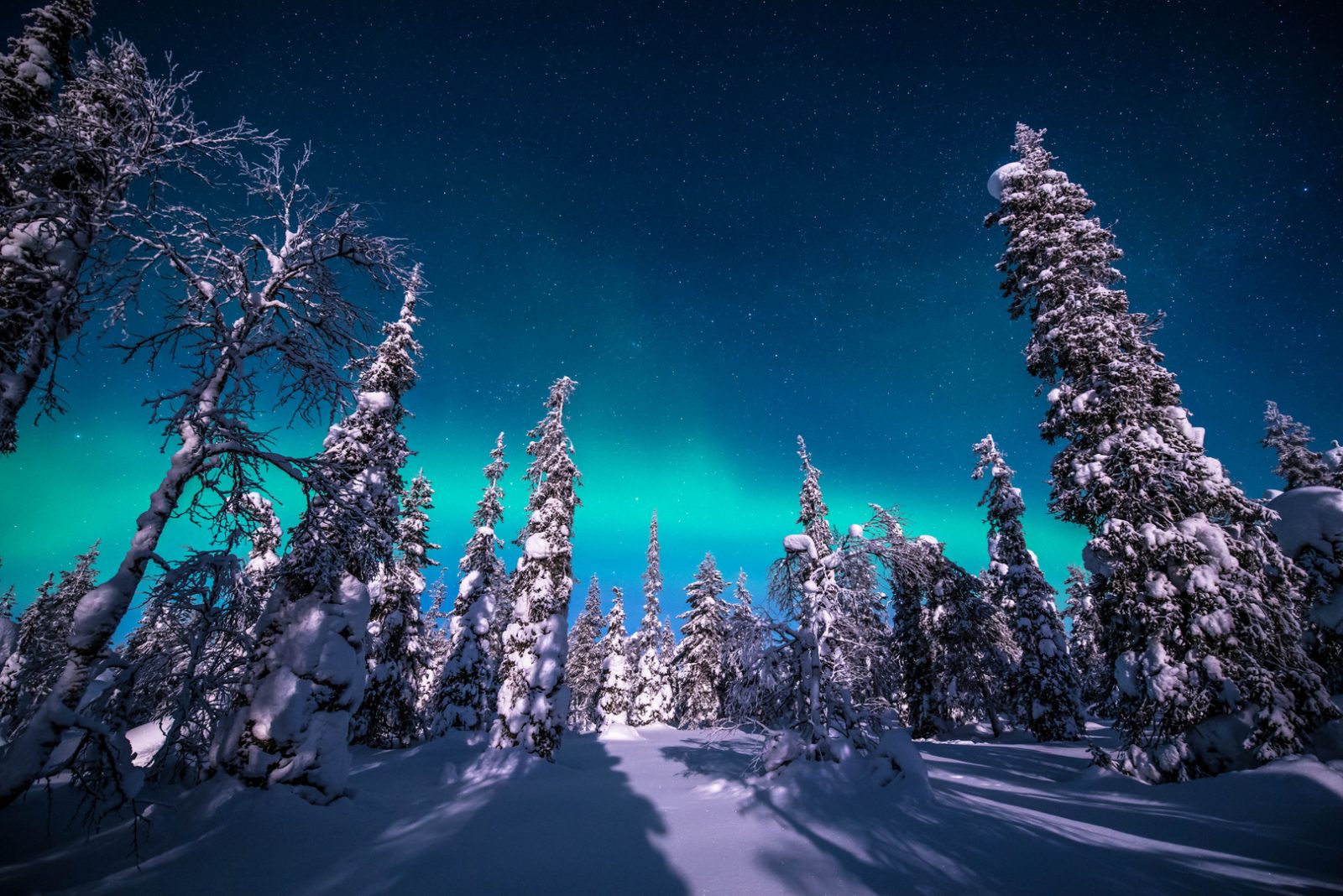 Urho Kekkonen National Park