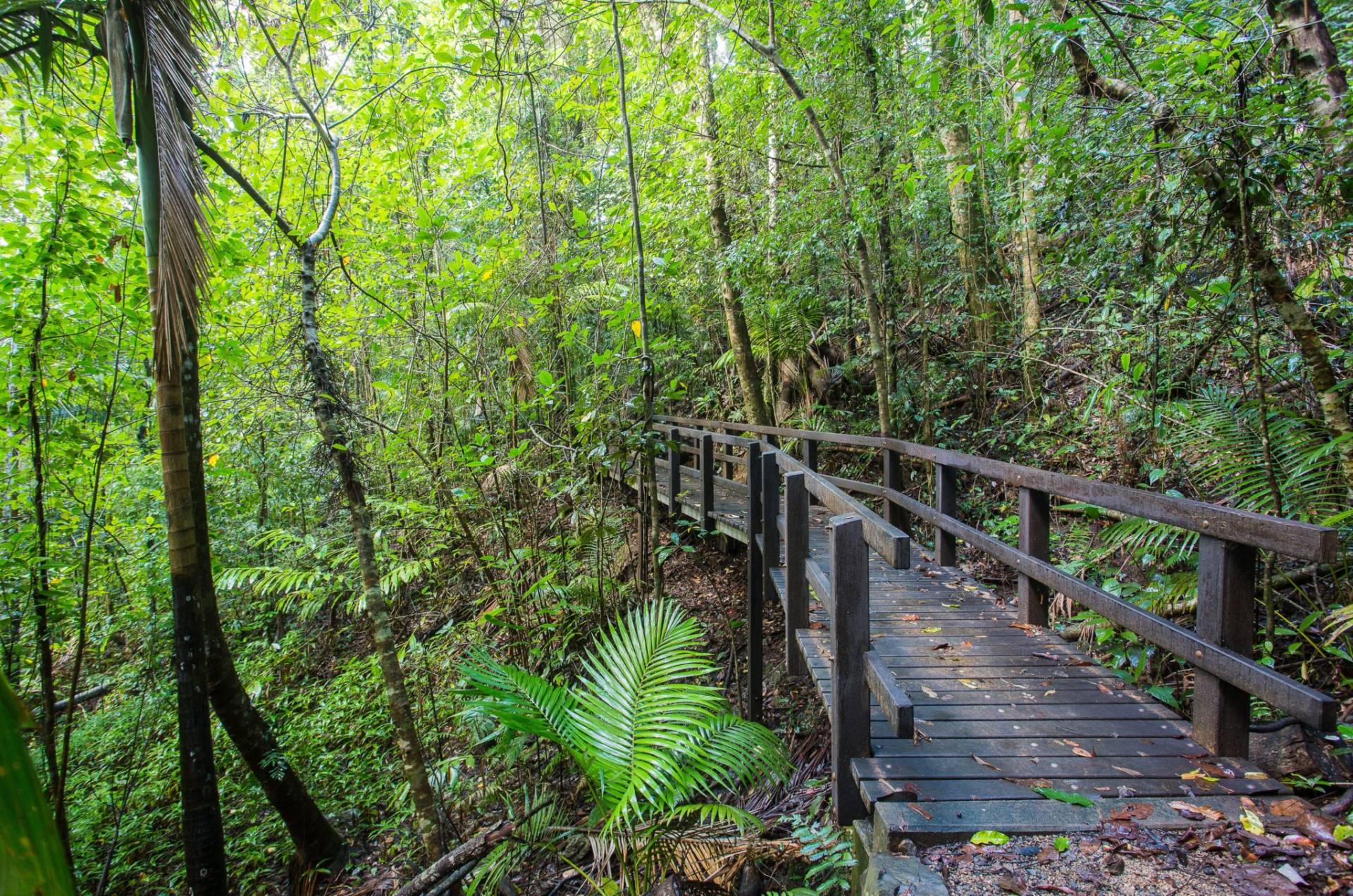 Conway National Park