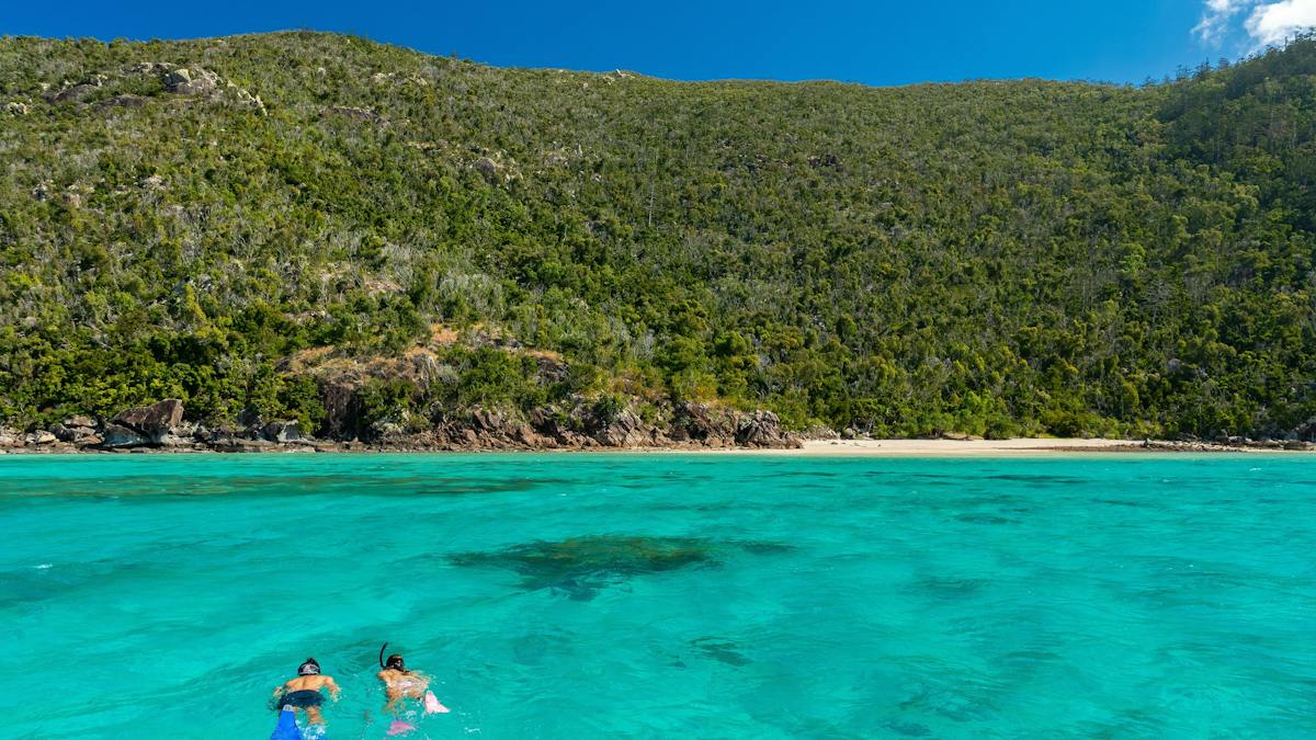 Butterfly Bay