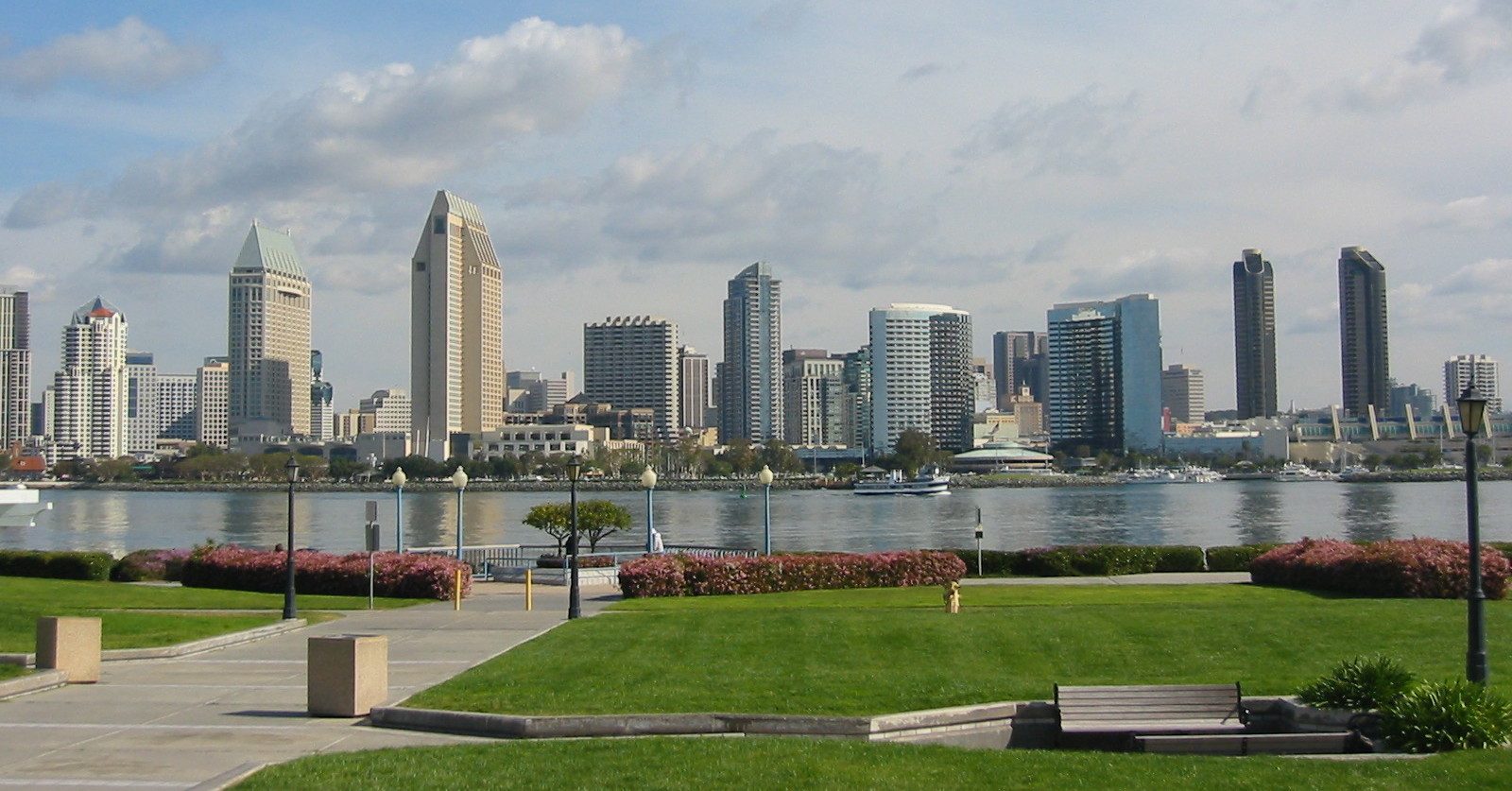 Downtown Skyline View