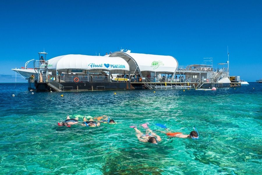 Snorkeling Cairns Pontoon