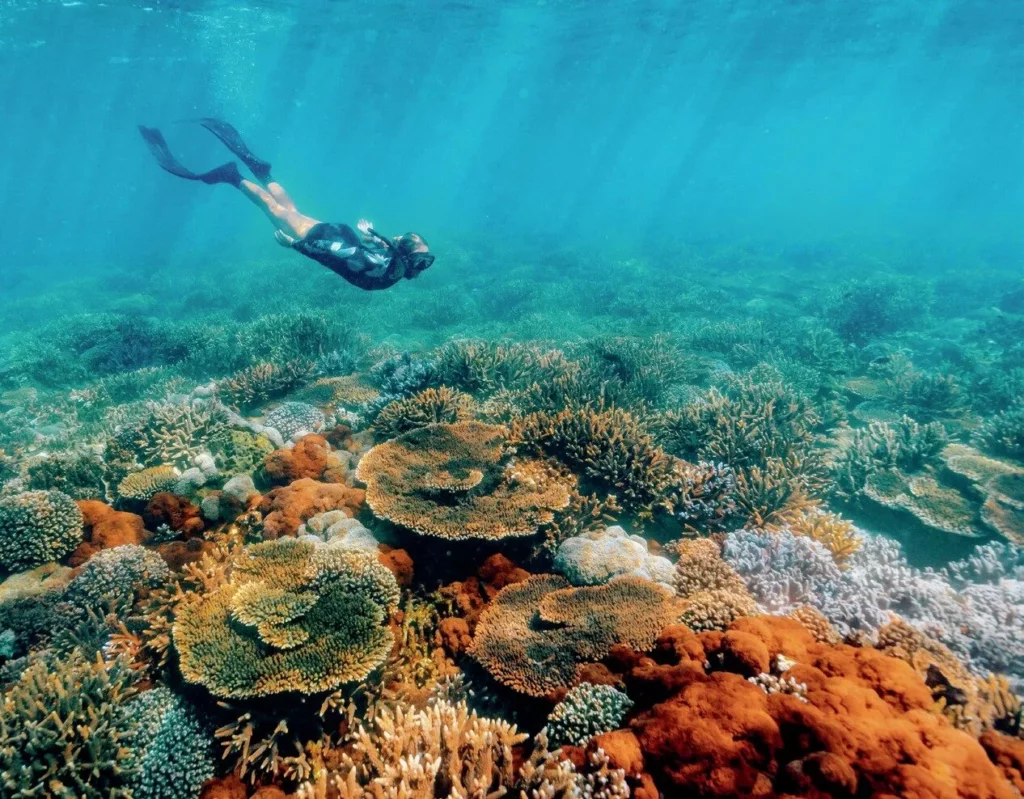 First snorkel session