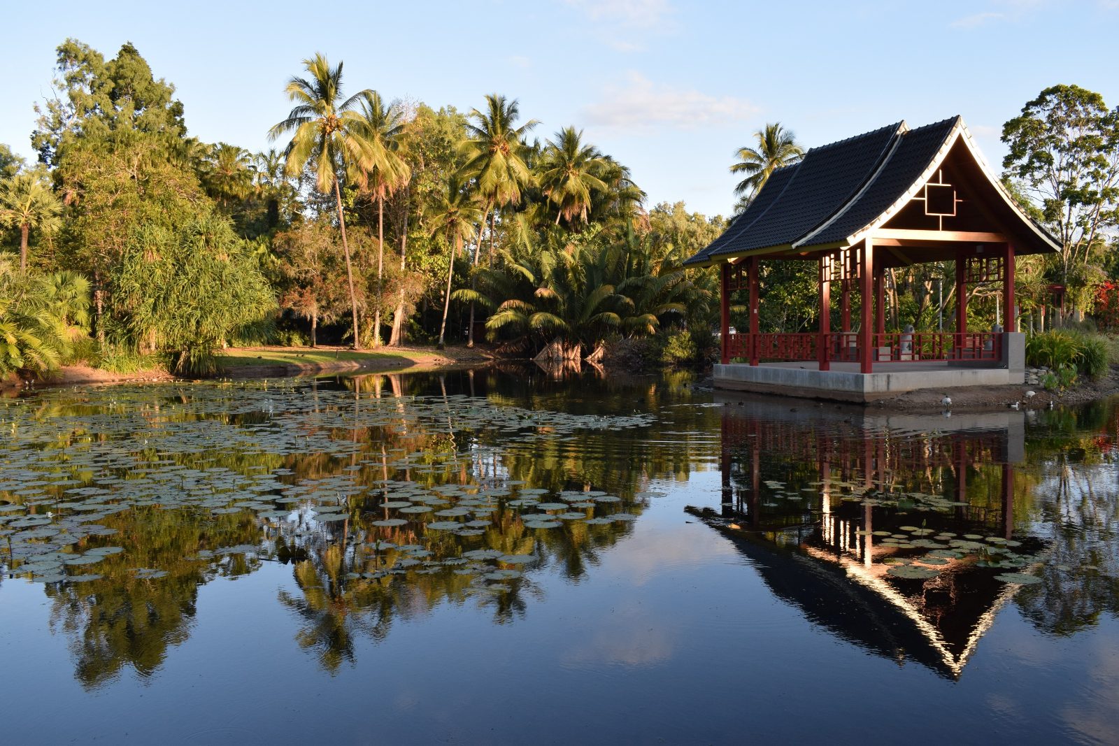 Cairns Botanic Gardens