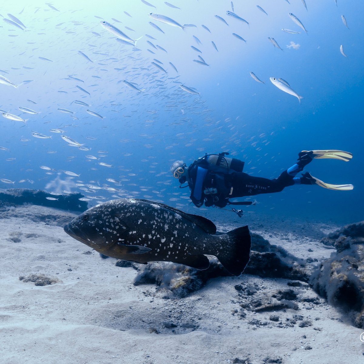 El Cabrón Marine Reserve