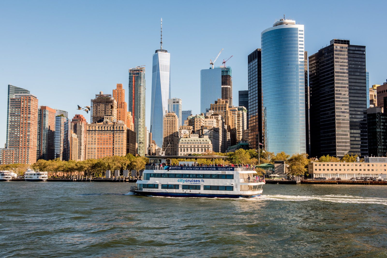 Lower Manhattan Skyline Deck