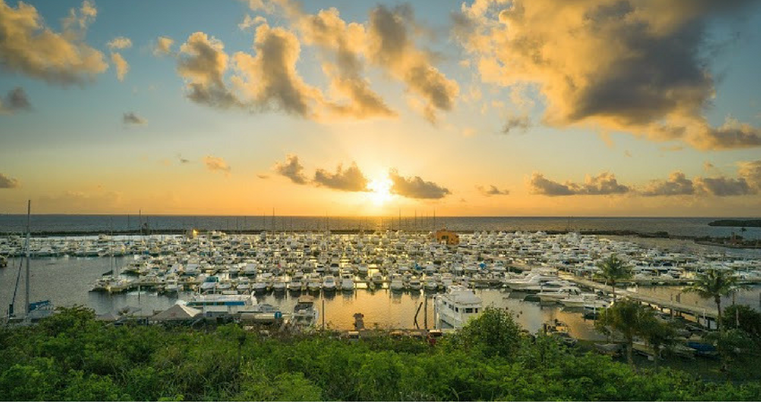 Marina Check-in