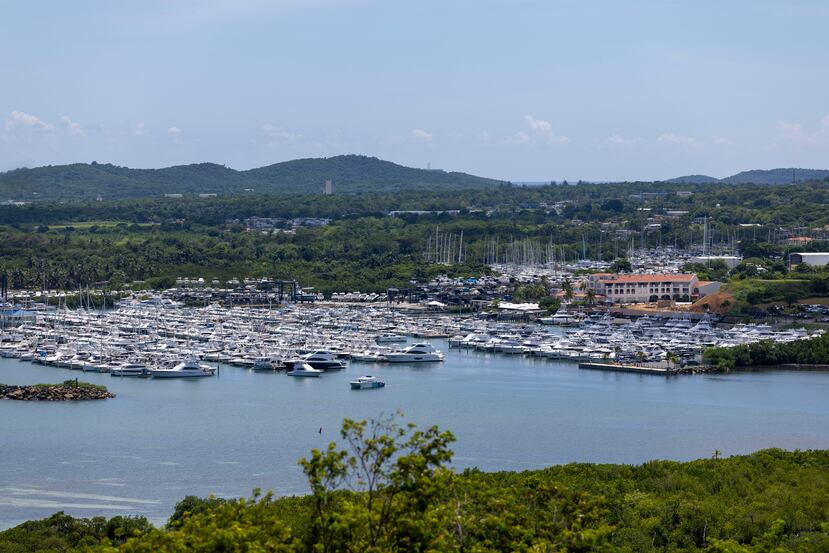 Marina Puerto Del Rey