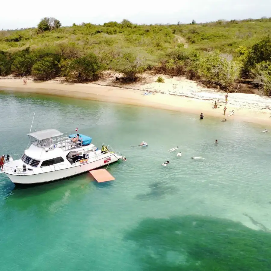Return Journey to Fajardo