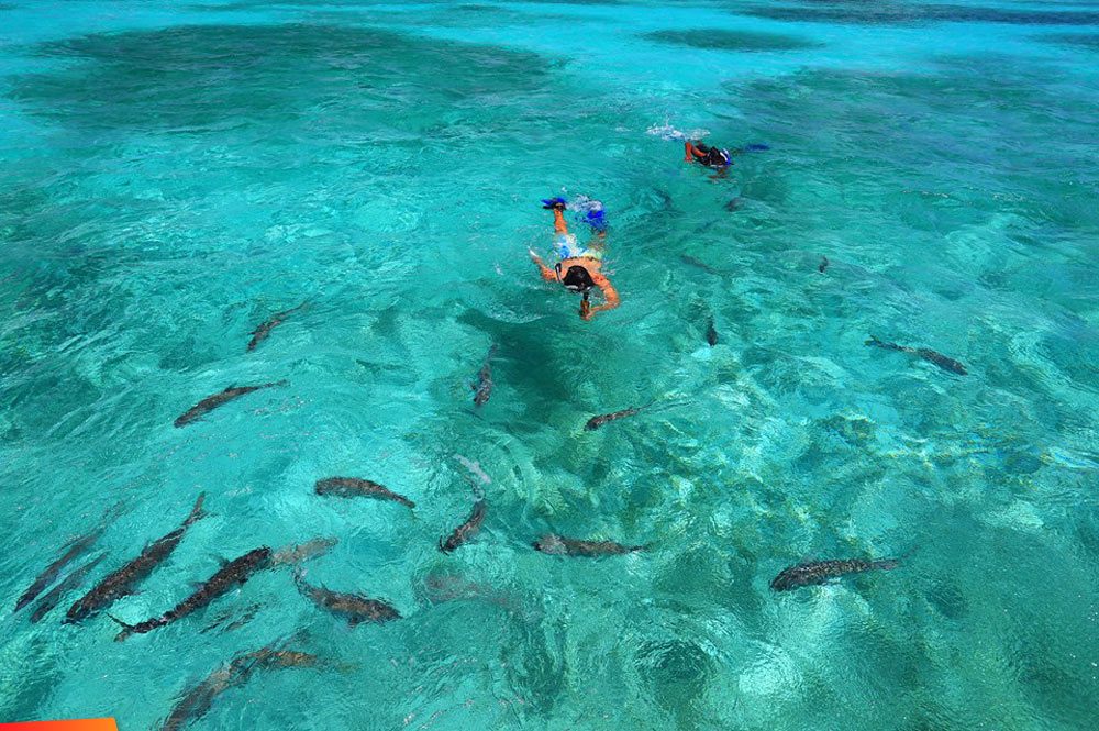 Boat ride to the reef